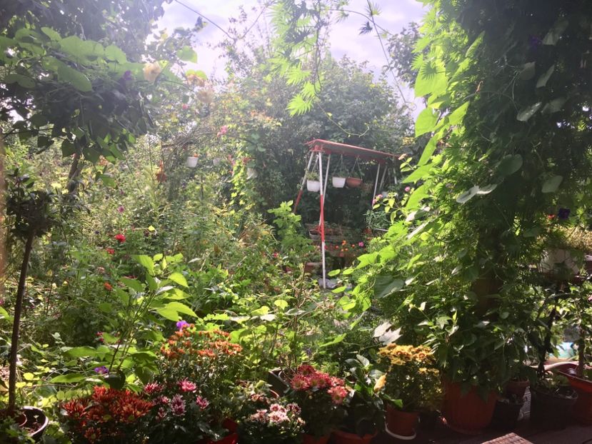 A52B3073-D0C7-432B-A1DD-65F809F1D791 - Septembrie 2018