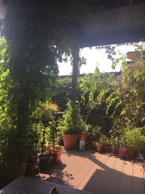 60807A8C-0D1A-4C23-AF0B-2D3B5D2FD877 - Septembrie 2018