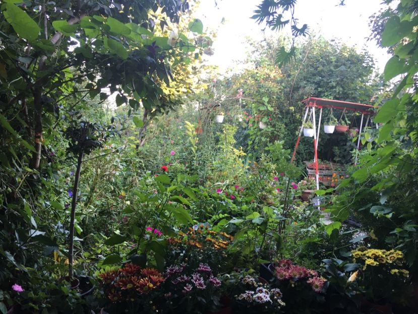 1C5EADE2-72D2-439C-89E0-CE1789E455EF - Septembrie 2018