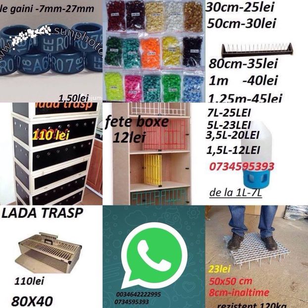  - ACCESORI -PASARI-0725840353