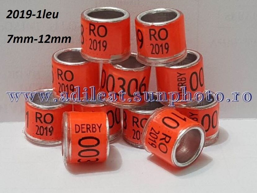  - ACCESORI -PASARI-0725840353