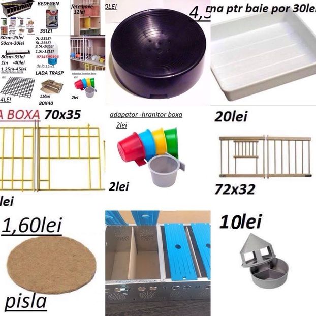  - ACCESORI -PASARI-0725840353