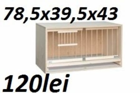  - ACCESORI -PASARI-0725840353