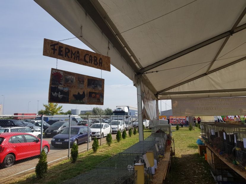  - Agromalim Arad 2018 ACPPCSABA