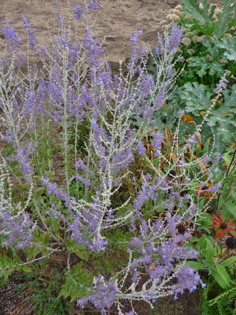  - 2018 - 03 - Toamna