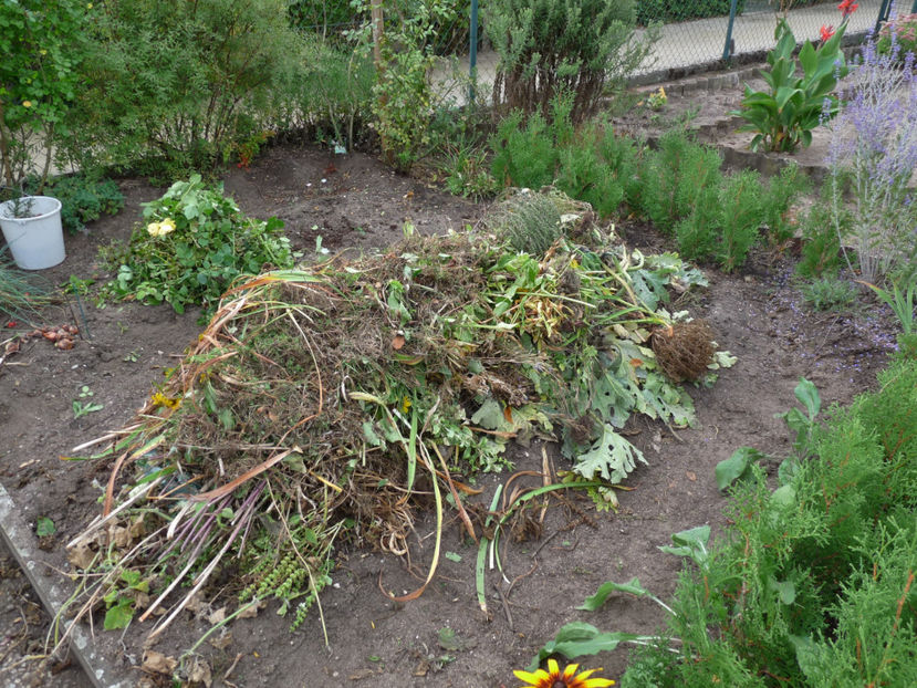 14.09. Am inceput curatenia de toamna! - 2018 - 03 - Toamna