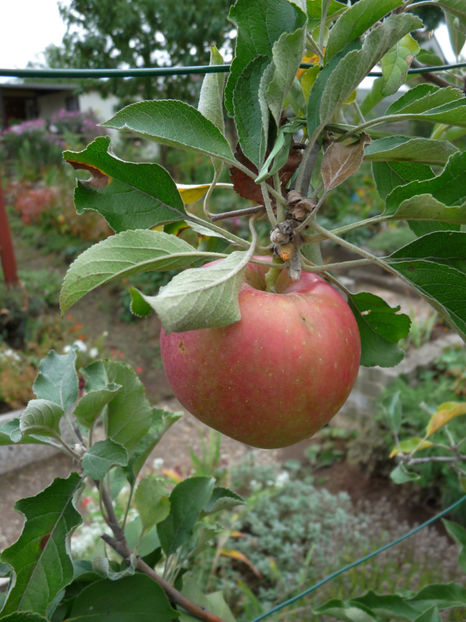  - 2018 - 03 - Toamna