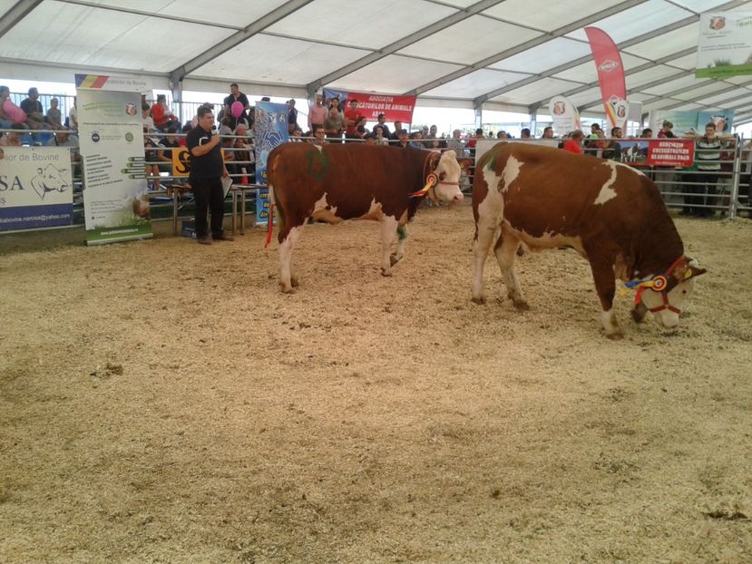 Fotografie0131 - 28---agromalim arad 2018