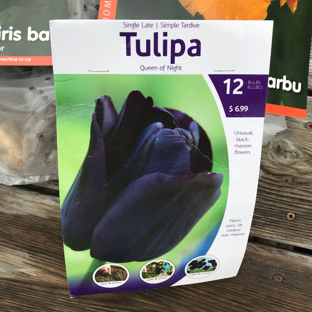  - 2018 Jurnalul gradinii