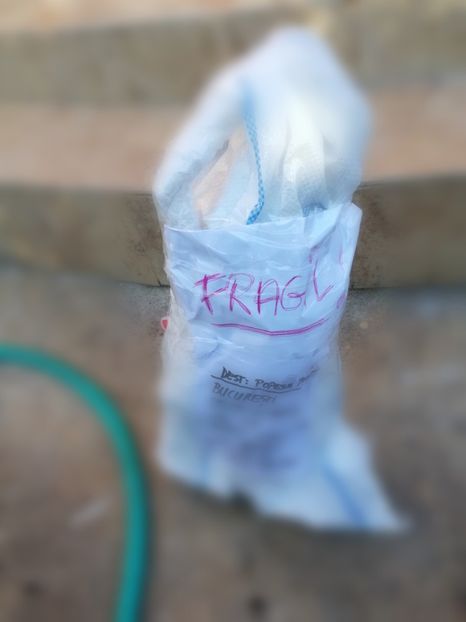 Colet cu trandafiri - Diverse