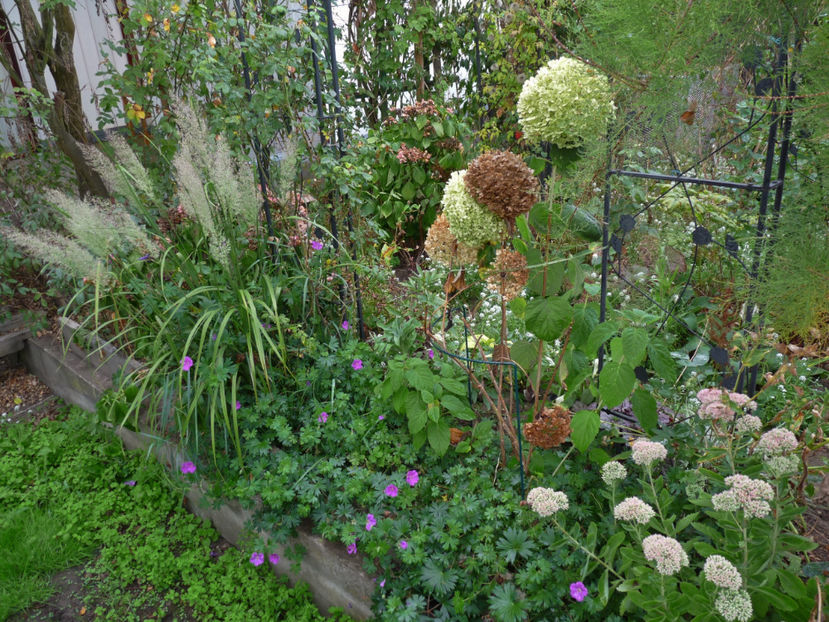  - 2018 - 03 - Toamna