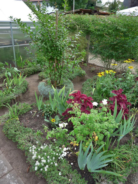  - 2018 - 03 - Toamna