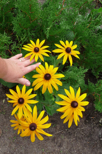  - 2018 - 03 - Toamna