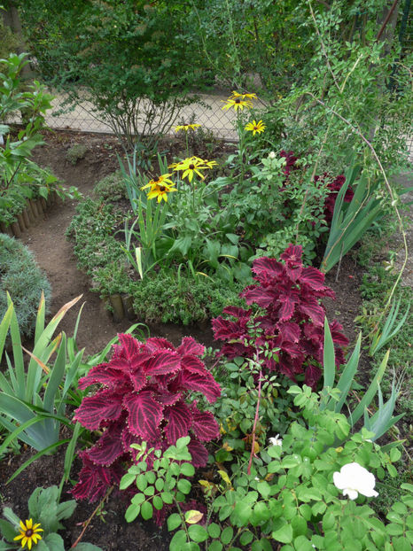  - 2018 - 03 - Toamna