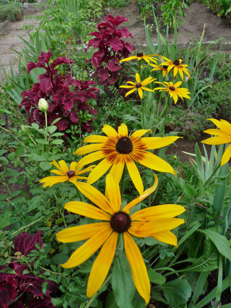  - 2018 - 03 - Toamna