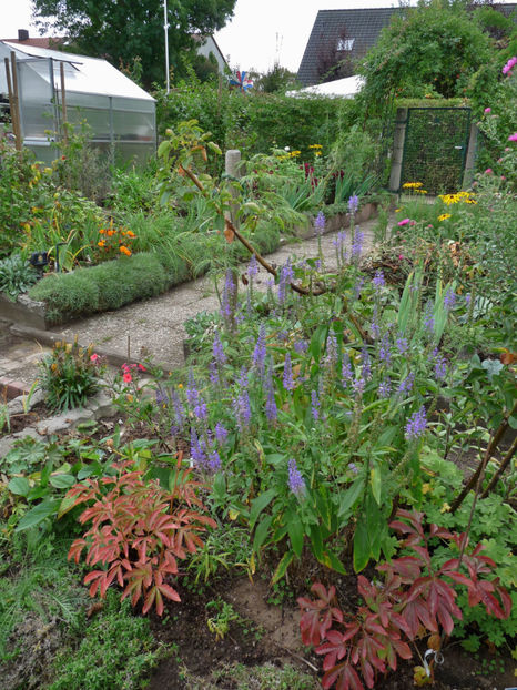  - 2018 - 03 - Toamna