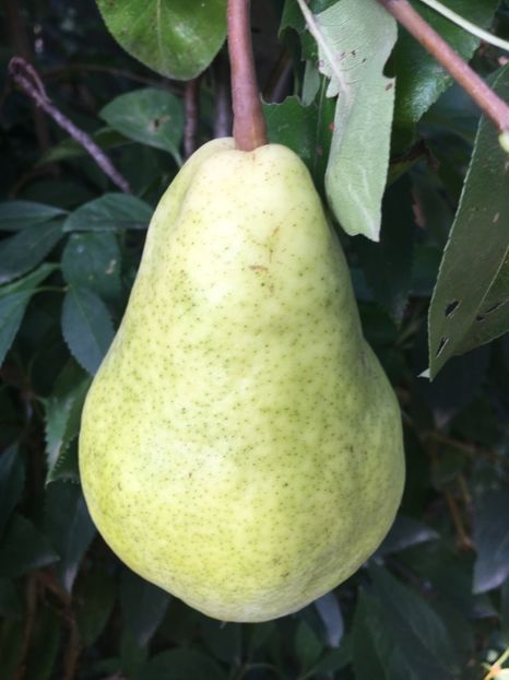 649F6078-39AA-4C92-B7AA-7CC3E7B0122F - Septembrie 2018