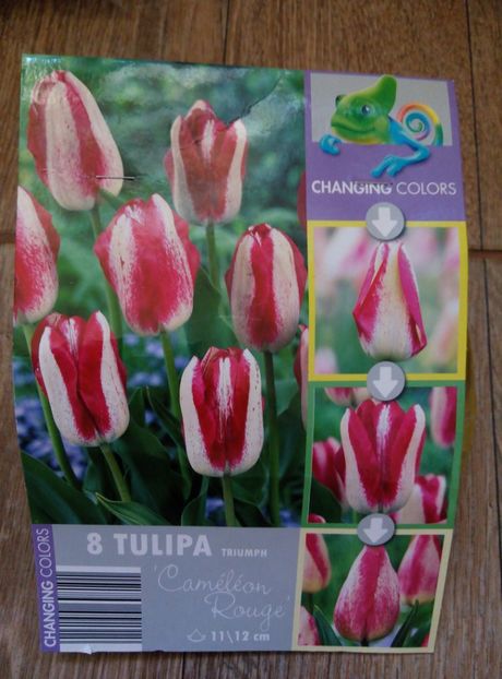 10.sept. - Achiziții 2018