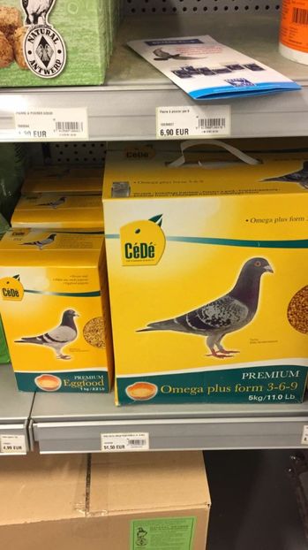 IMG-20171104-WA0013 - pauni