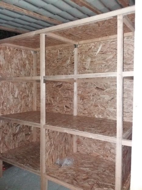  - Custile mele - iepuri