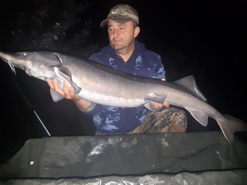 FishArena septembrie 2018 13kg - Capturi-pesti