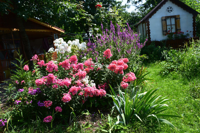  - 2018_Idilic garden iulie-oct