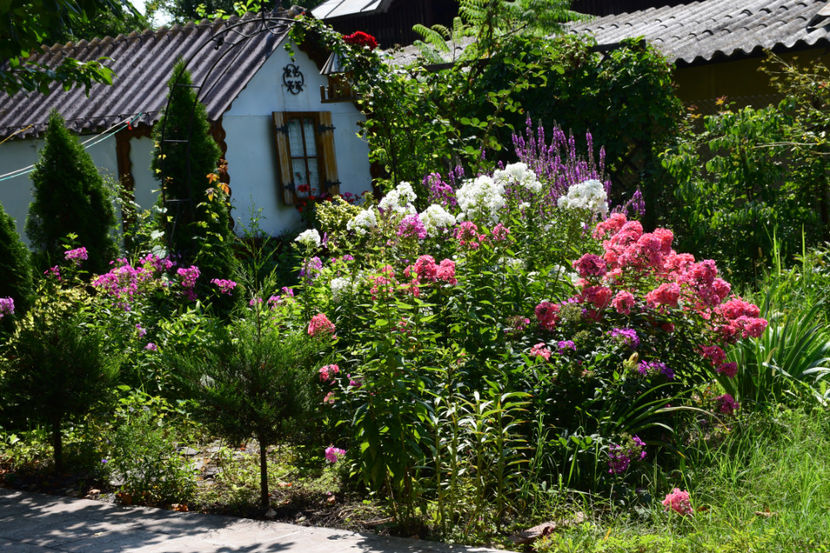  - 2018_Idilic garden iulie-oct
