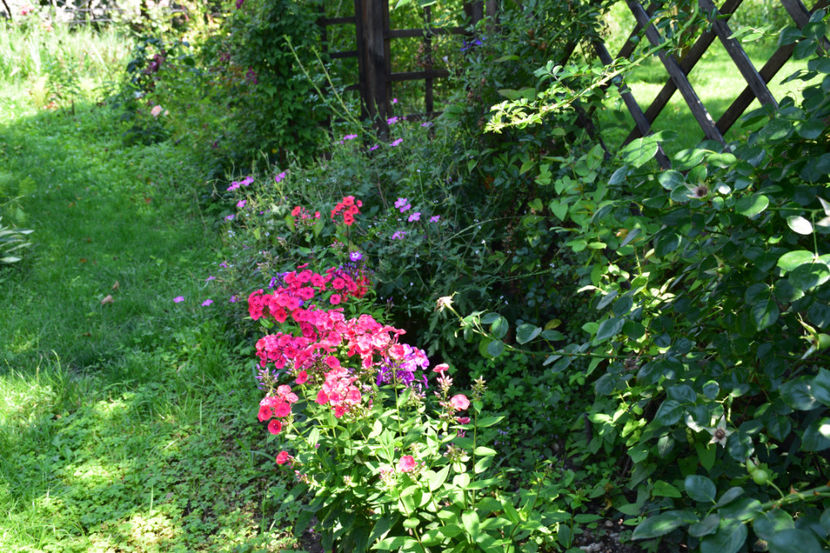  - 2018_Idilic garden iulie-oct