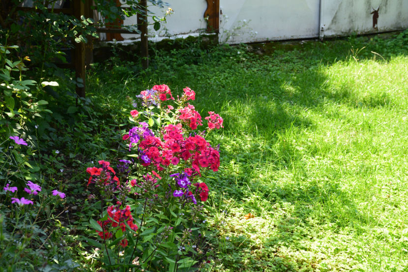  - 2018_Idilic garden iulie-oct