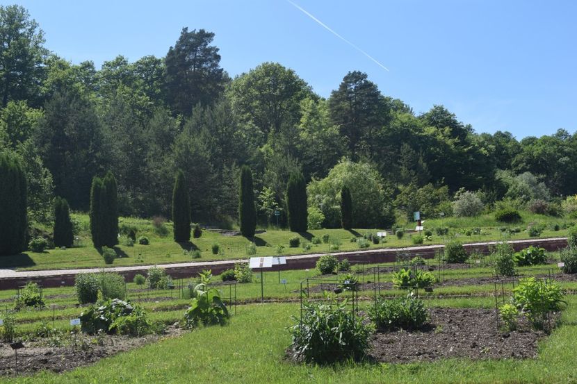 Gradina Botanica din Jibou, Judetul Salaj - Romania in imagini - din calatoriile mele