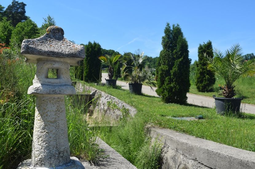 Gradina Botanica din Jibou, Judetul Salaj - Romania in imagini - din calatoriile mele