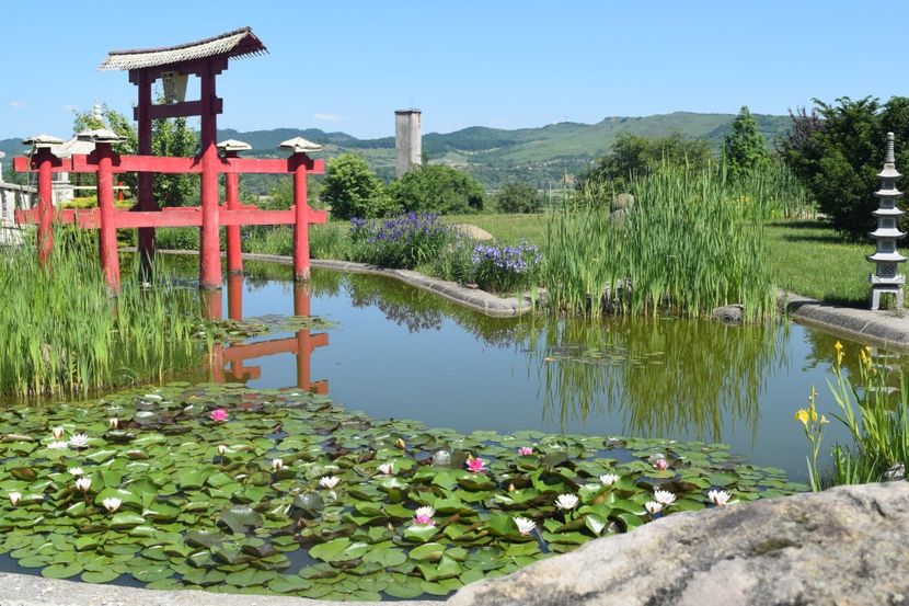 Gradina Botanica din Jibou, Judetul Salaj - Romania in imagini - din calatoriile mele
