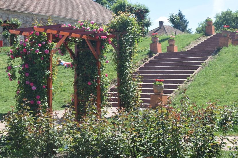 Gradina Botanica din Jibou, Judetul Salaj - Romania in imagini - din calatoriile mele