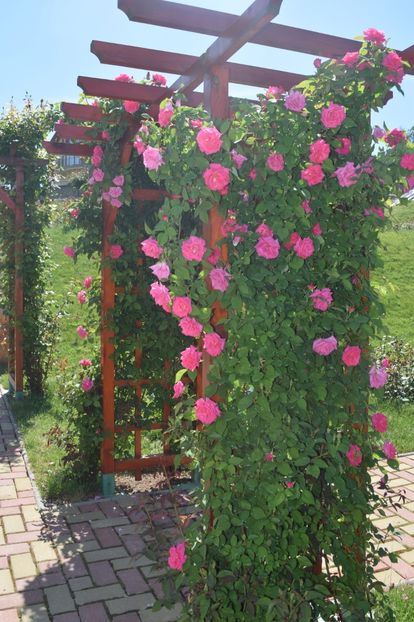 Gradina Botanica din Jibou, Judetul Salaj - Romania in imagini - din calatoriile mele