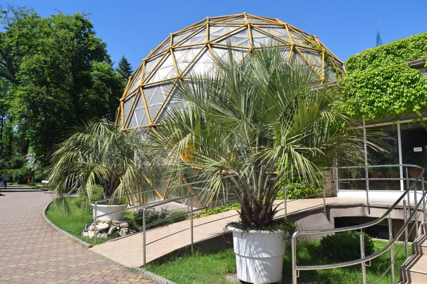 Gradina Botanica din Jibou, Judetul Salaj - Romania in imagini - din calatoriile mele