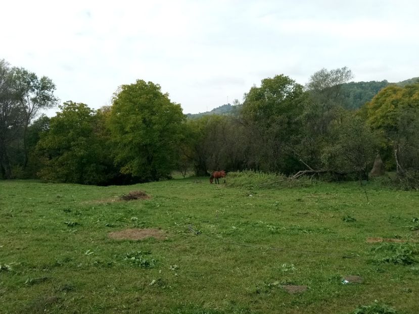 Peisaje submontane - 6 - Diverse