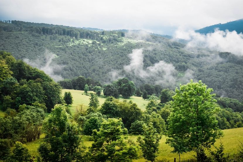  - Iunie - Iulie 2018