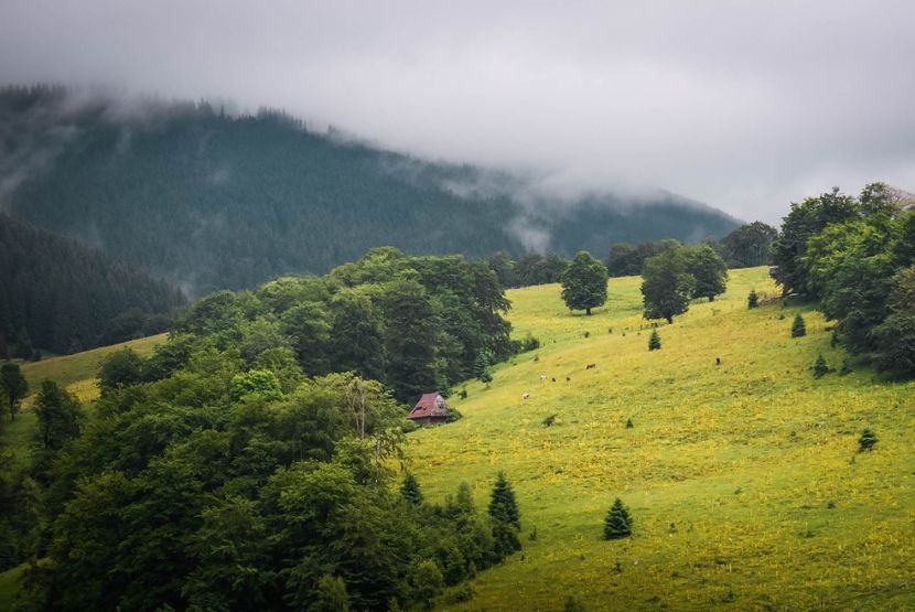  - Iunie - Iulie 2018