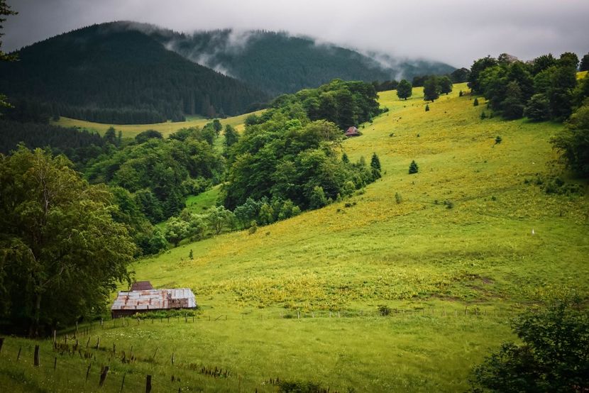  - Iunie - Iulie 2018