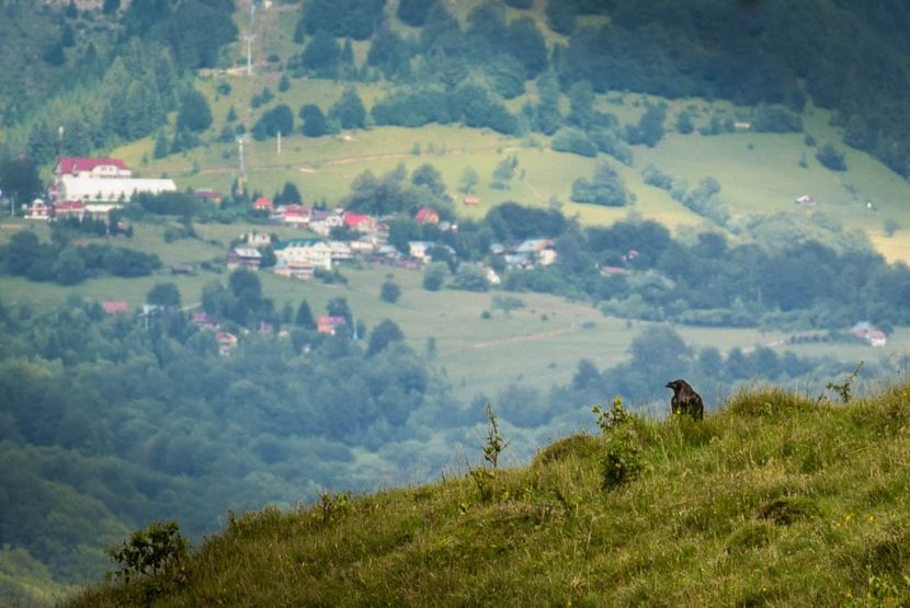  - Iunie - Iulie 2018