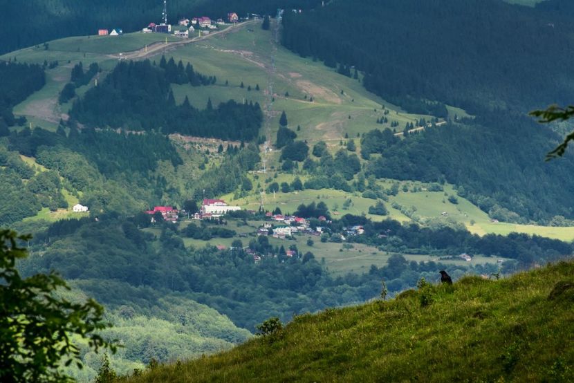  - Iunie - Iulie 2018