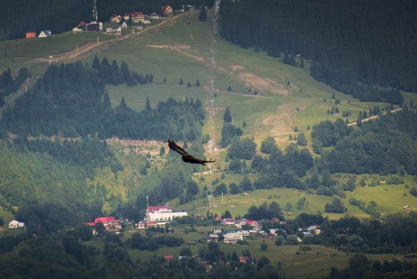  - Iunie - Iulie 2018