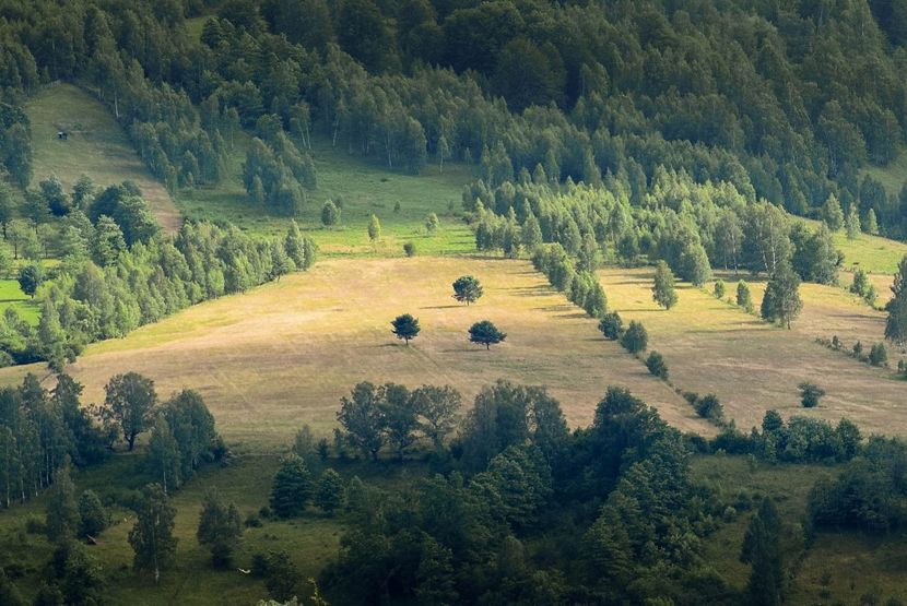  - Iunie - Iulie 2018