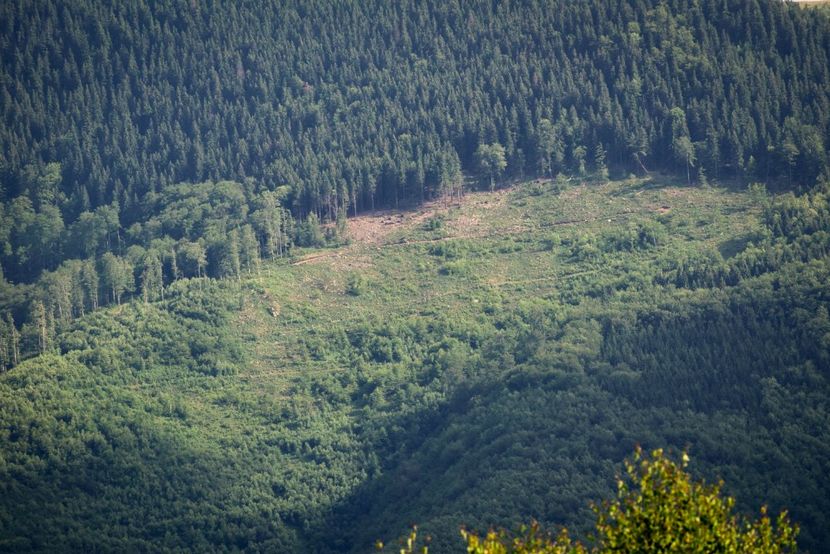  - Iunie - Iulie 2018