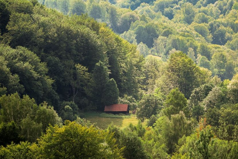  - Iunie - Iulie 2018