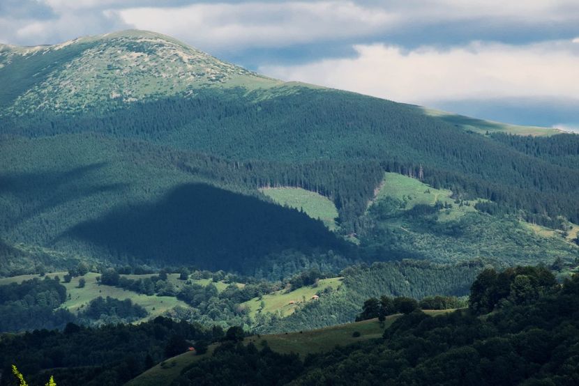  - Iunie - Iulie 2018