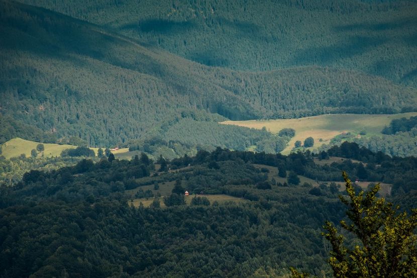  - Iunie - Iulie 2018