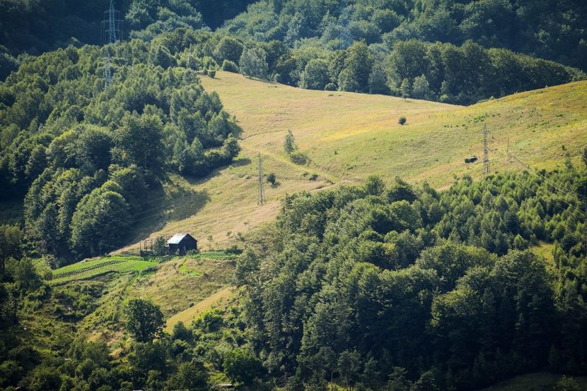 xDSC_0859 - Iunie - Iulie 2018