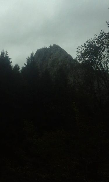 IMG-20180924-WA0073 - Un weekend la munte REZERVAȚIA NATURALĂ APUSENI 2018