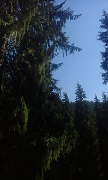 IMG-20180924-WA0047 - Un weekend la munte REZERVAȚIA NATURALĂ APUSENI 2018